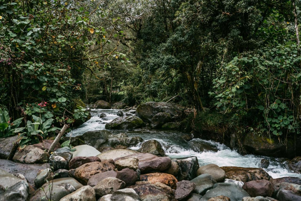 Trogon Lodge San Gerardo de Dota Exteriör bild