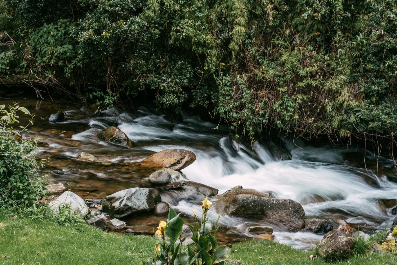 Trogon Lodge San Gerardo de Dota Exteriör bild