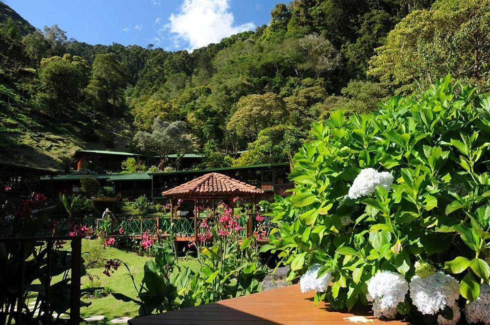 Trogon Lodge San Gerardo de Dota Exteriör bild