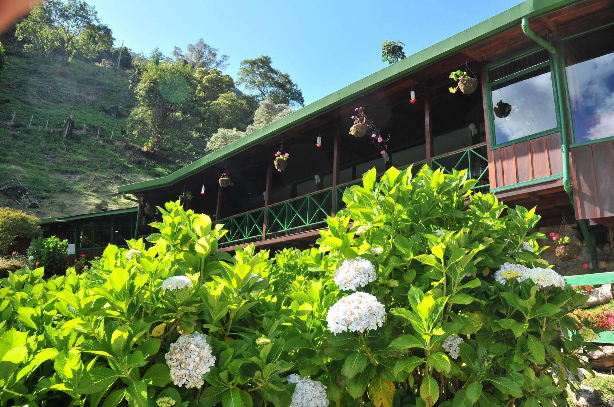 Trogon Lodge San Gerardo de Dota Exteriör bild